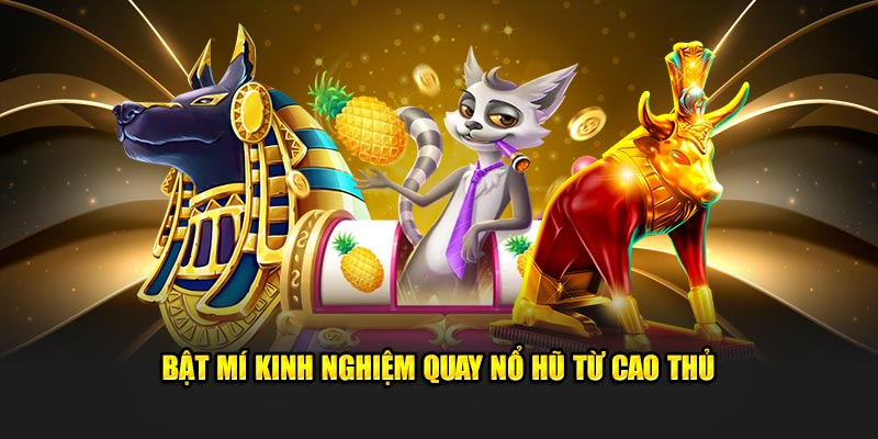 Bật mí kinh nghiệm quay nổ hũ từ cao thủ 