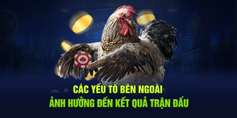 Yếu tố bên ngoài ảnh hưởng đến kết quả 