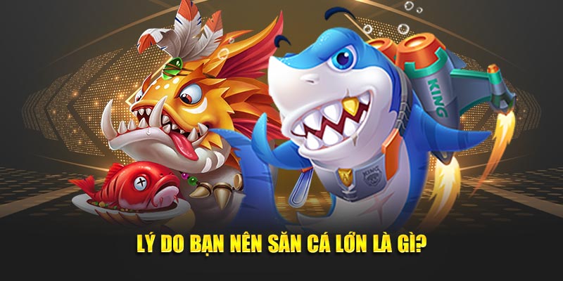 Lý do bạn nên săn cá lớn là gì?