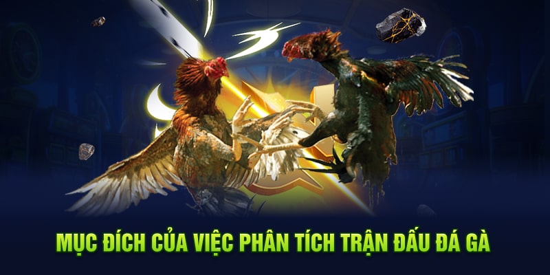 Mục đích của việc phân tích trận đấu đá gà